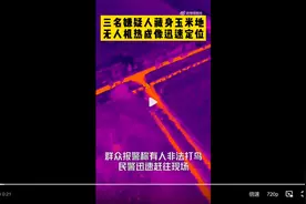 无人机热成像帮警方玉米地抓嫌疑人图片