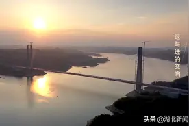 闯入镜头惊呆主播的“ta”身份确定了图片