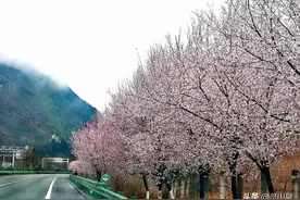 多年自驾旅行经验总结：如何保障与朋友结伴出游时旅途愉悦图片