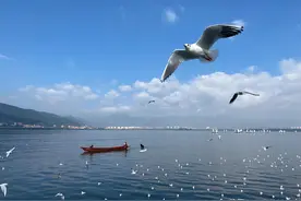 听到就想马上站起来跳一下的歌曲图片
