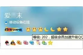 QQ 等级全球第一的人找到了：小时候家里开网吧图片