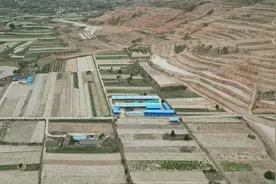 【“三抓三促”行动进行时】通渭常家河：“羊”产业为和美乡村注入新活力图片