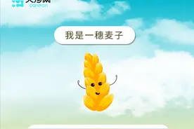 漫画长卷丨麦子的旅程图片