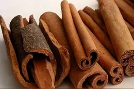 广西“防城肉桂”成功注册国家地理标志证明商标图片