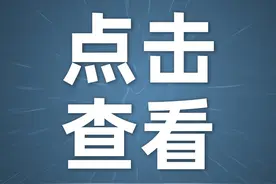 电线如何辨别真假图片