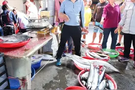 浑身都是“寄生虫”的5种鱼，卖鱼老板自己从来不吃，白送也别要图片