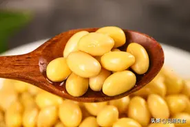 转基因黄豆和非转基因大豆，差别很大，全面讲解，看完别再买错图片