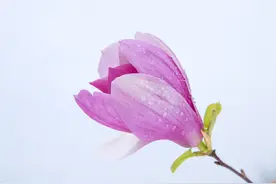 春节期间，一个人不回复你的消息，原因很简单图片