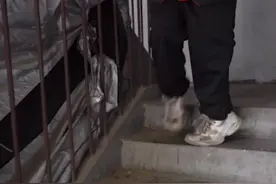 郑州双腿残疾跑腿小哥每天工作17小时挣药钱图片