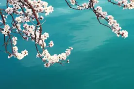 男怕369女怕258是什么意思图片