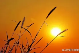 10首不服老乐观诗词：时间苍老了容颜，但决不能苍老内心图片