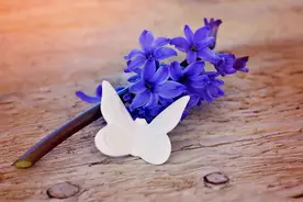 去了一趟养老院，我突然活明白了，想给大家说两句心里话图片