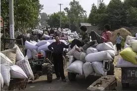 儿时的记忆——交公粮图片