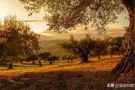 能把水瓶座拿捏住的3个星座，未必个个聪明，但都有自己的本领图片