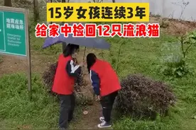 安徽15岁女孩连续3年捡回12只流浪猫，妈妈：女儿对猫没有抵抗力图片