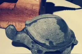 龙天名俊‖龟的寓意和风水图片