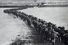 德国人如何评价志愿军？军事专家研究后，提出“八个不可思议”！图片