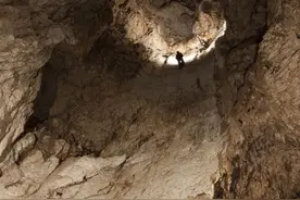 2006年,浙江小岛突现"洞中洞",村民惊慌失措,专家揭开"蛇岛"之谜图片