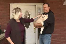 狗狗被比特犬狂咬，美国女主人“以牙还牙”狠咬回去，救回小狗图片