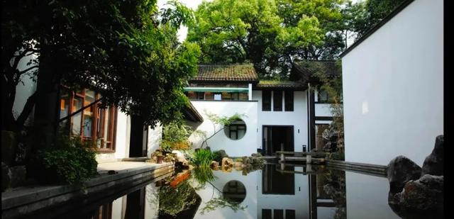 川贝 花胶 2026年川贝花胶汤