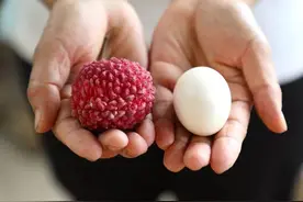 一万二买颗荔枝送女友，海南出产的荔枝王，每颗和鸡蛋一样大！图片