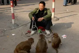 河南耍猴人的瞬间……图片