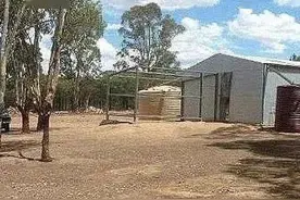 震碎三观！澳洲一家族38人全是近亲！图片