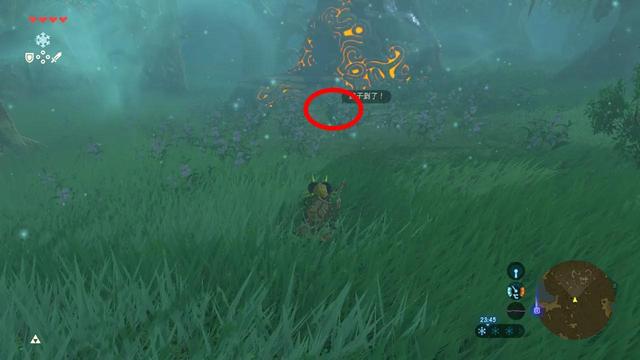 塞尔达传说之旷野之息全神庙位置（六）——森林之塔