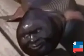 “许昌钓友钓到人头鱼”，惊动了河南官方，到底是真是假？图片