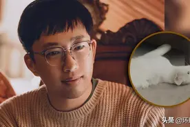 “虐猫罗生门”，人们为何不相信于正？图片