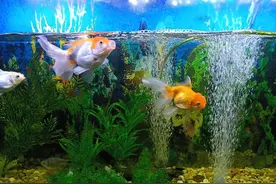 月薪7000的男人婚前买房，需还5000房贷，未婚妻选择放手图片