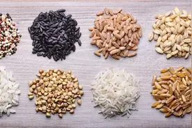 五谷杂粮系列━小米图片