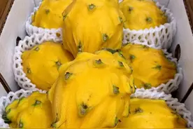 如果有一天你变得非常有钱，请享用贵妇级的品质水果图片