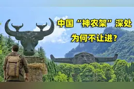 为什么中国“神农架”深处不让进，私自闯入的驴友都经历了什么？图片