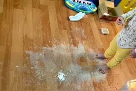 养娃养宠人必备扫地机器人，让你告别猫、狗和人的毛发、饭渣困扰图片