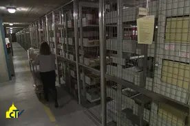 探秘人类禁区：揭秘世界五大禁地图片