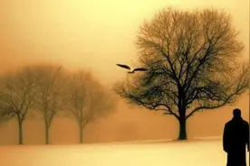 离不了过不好的生活，90%的中年夫妻正在经历着，避不开逃不了图片