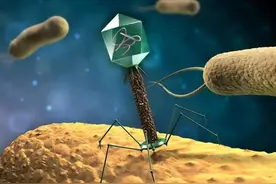 人类历史上为何一直都没有消灭的病毒，病毒的起源是什么？图片