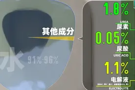 尿检是在检查什么问题？颜色代表了什么？图片