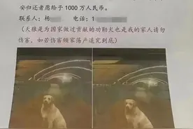 郑州男子悬赏千万寻狗“食言”引关注，律师：发布虚假悬赏通告或涉嫌寻衅滋事图片