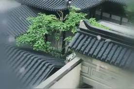 屋顶出现漏水，瓦片脱落怎么办？铝瓦不会有这个问题图片