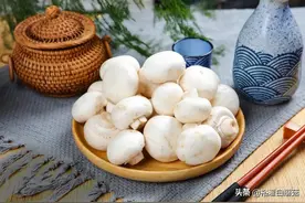 白蘑菇 | 网红减脂餐中的“No.1”食材，为啥这么有吸引力？图片