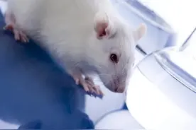 我去试药被淘汰了，原来临床试验志愿者不是你想做就能做的图片