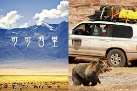 荒凉的“生命禁区”可可西里！进去后，你有可能连兔子都斗不过图片