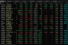 我的自选股图片