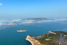 什么？山东竟然有海豹！？海豹来自太平洋？是的！软萌海豹旅行团就在山东长岛图片
