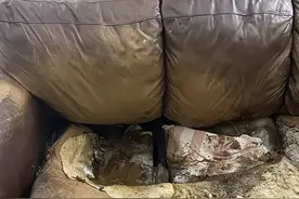 女子12年坐在沙发不移动，最终融化在沙发上图片