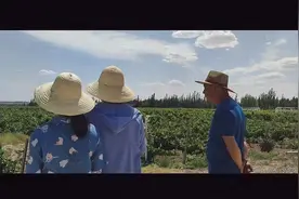 “农大丁同学”走红背后：农学生的低调、迷惘和浪漫图片