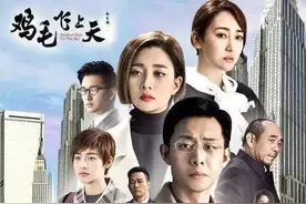 《鸡毛飞上天》何赛阳/著图片