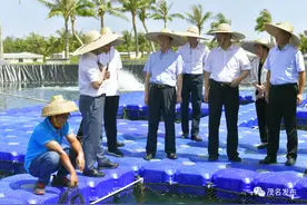 市代表团一行到湛江考察交流：深化交流互鉴，促进务实合作，共同推进湛茂都市圈融合发展图片